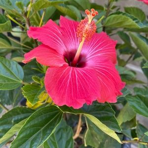 Meet your Posher, Jamie!